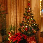 Naša jelka