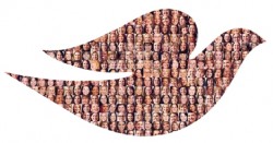 Dove logo