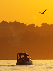 Dunav u sumrak