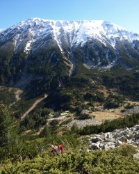 Pirin